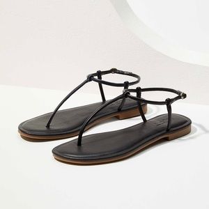 Modern Thong Sandal Loft NWT